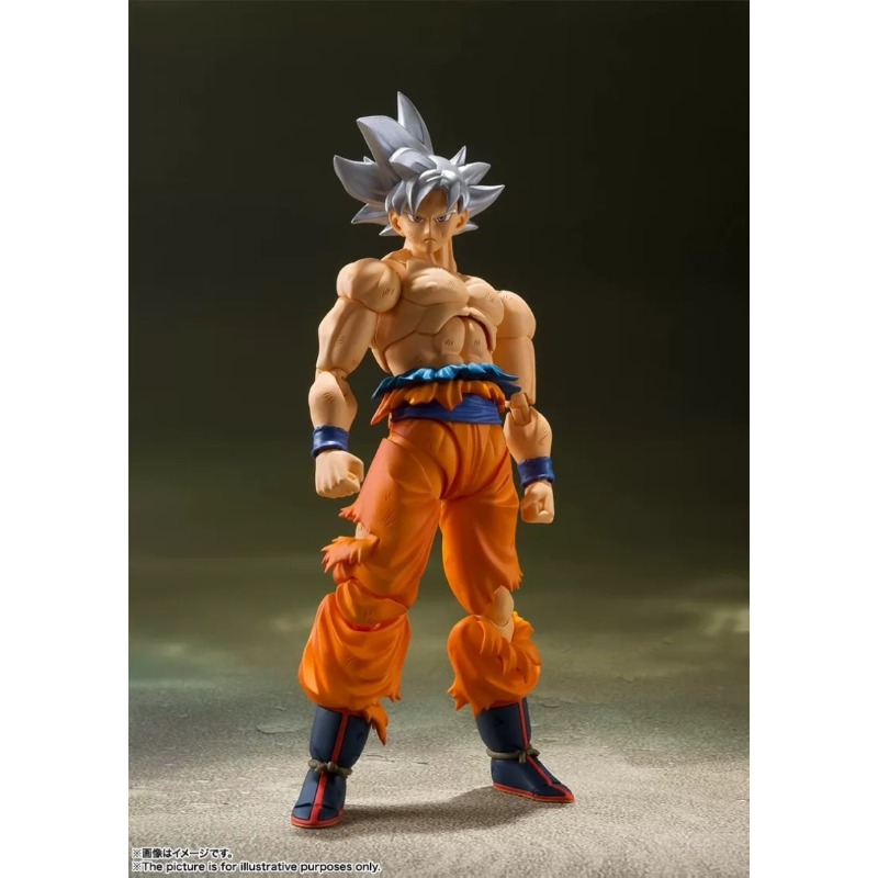 Бандай Тамаши Нэйшнс S.H.Figua – обзор и цена Bandai Tamashii Nations S.H.Figuarts